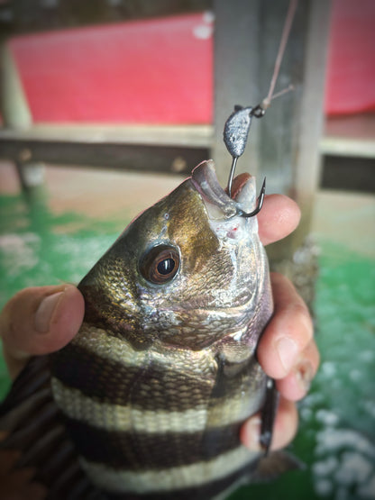 Sheep Slayer Jigs 3 Pack