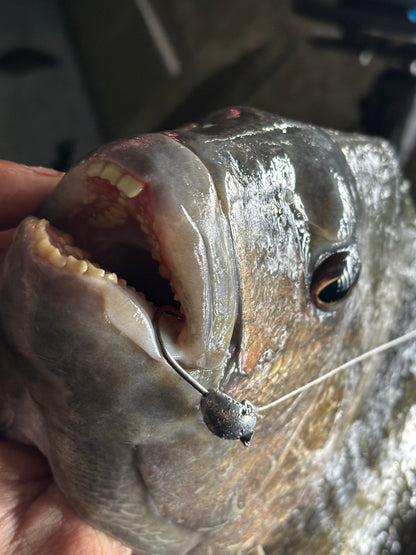 Sheep Slayer Jigs 3 Pack