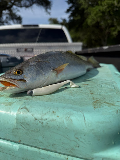 Dock Runner (8 Pack)