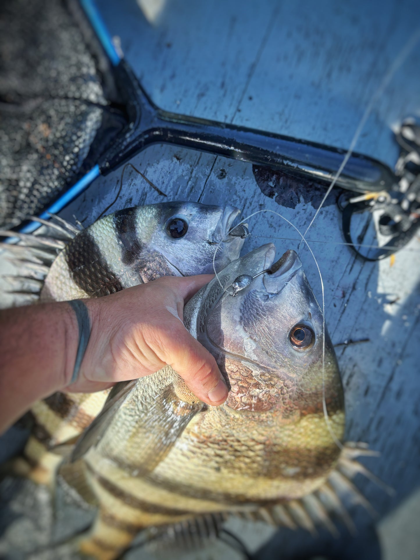 Sheep Slayer Jigs 3 Pack