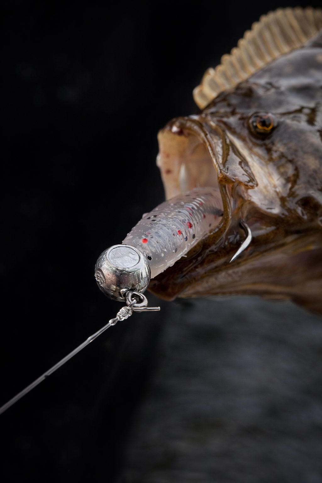 Inshore Slammer Jig 5 Pack