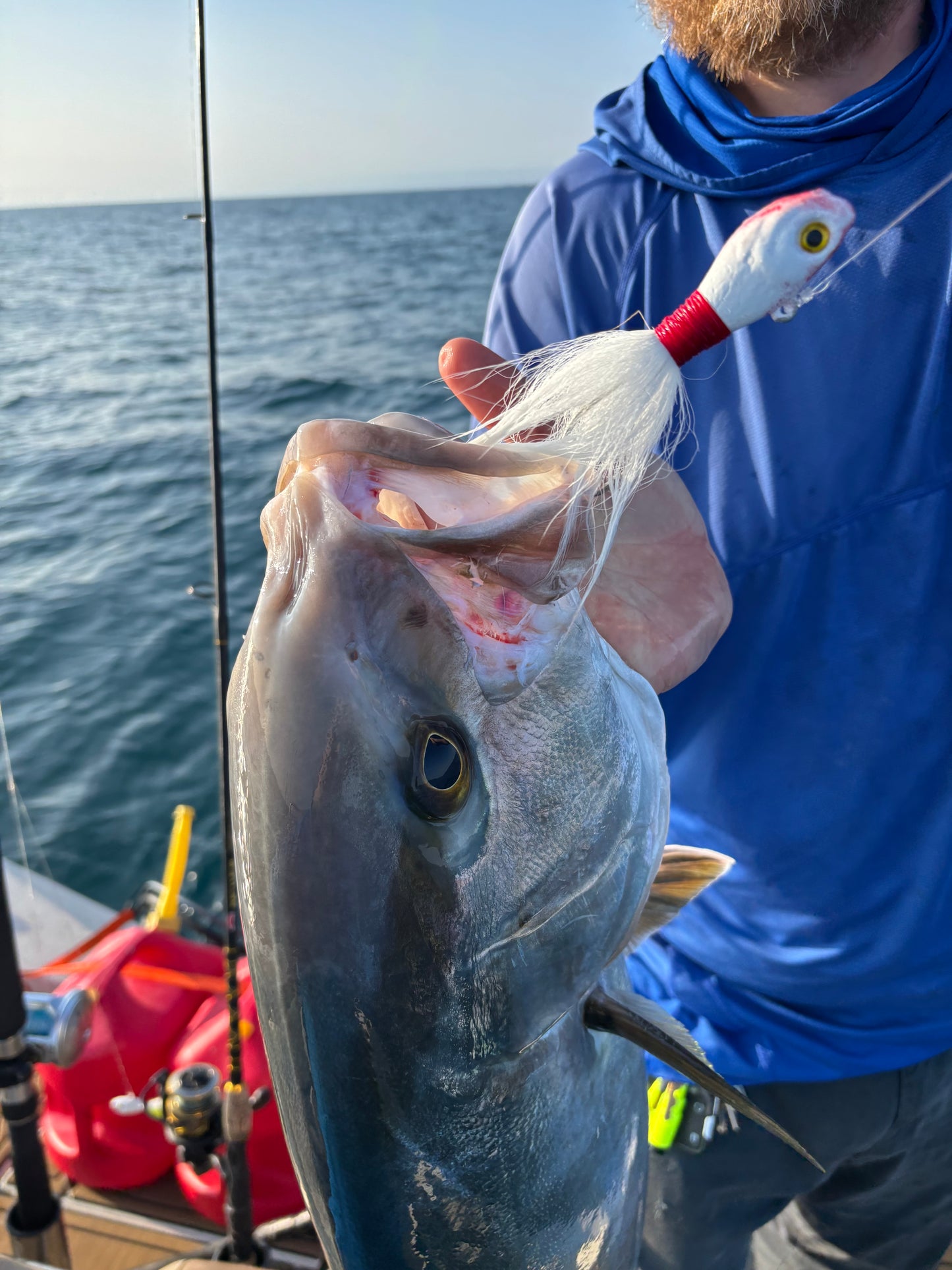 Cobia Killa’ Fishy Fishy
