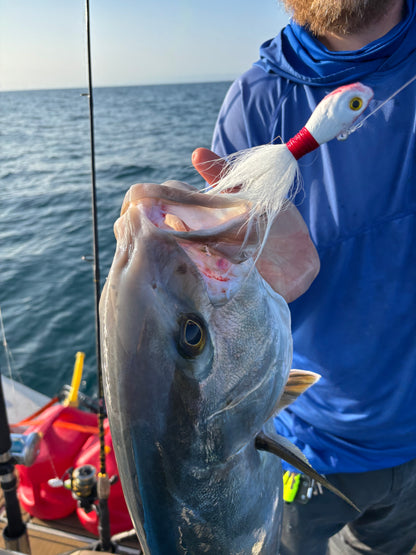Cobia Killa’ Fishy Fishy